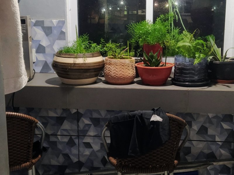 Casa à venda Barra do Ceará com 90m² e 3 quartos por R$ 130.000 - 753408727-img-20220423-201357.jpg