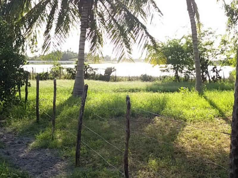 Chácara à venda Santa Luzia com 12000m² e 3 quartos por R$ 600.000 - 1060631913-20150316-162622.jpg