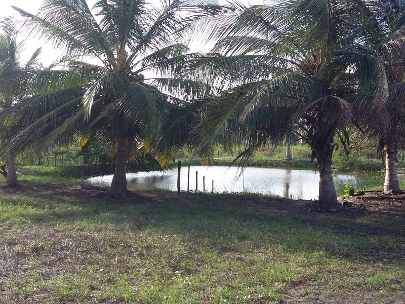 Chácara à venda Santa Luzia com 12000m² e 3 quartos por R$ 600.000 - 2027368272-20150316-161503.jpg