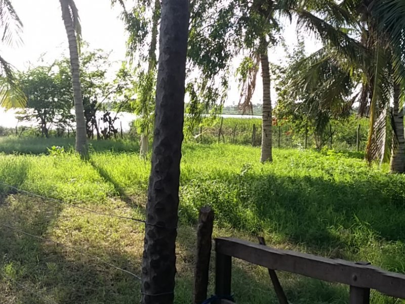 Chácara à venda Santa Luzia com 12000m² e 3 quartos por R$ 600.000 - 222573022-20150316-162725.jpg