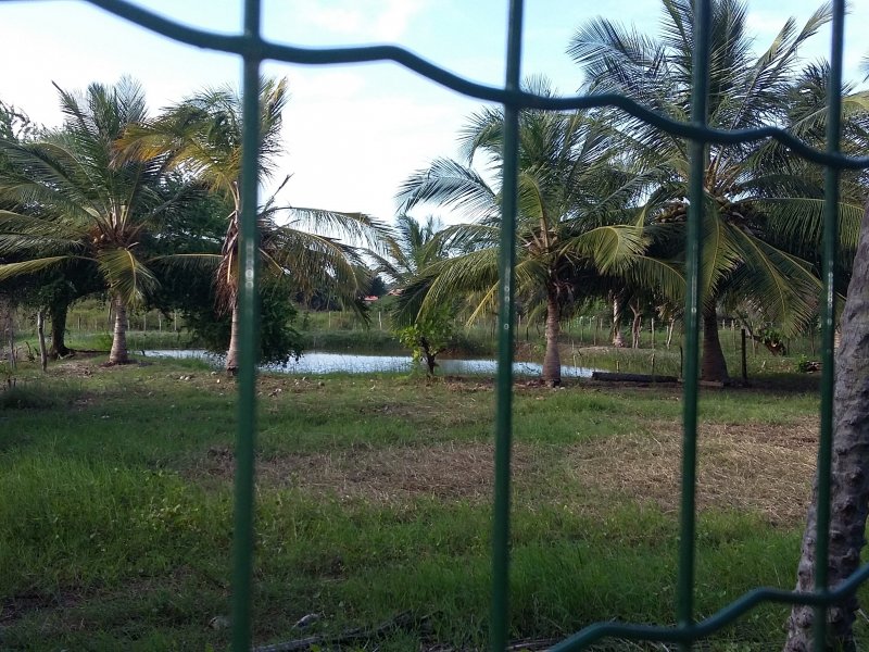 Chácara à venda Santa Luzia com 12000m² e 3 quartos por R$ 600.000 - 325599681-20150316-161234.jpg