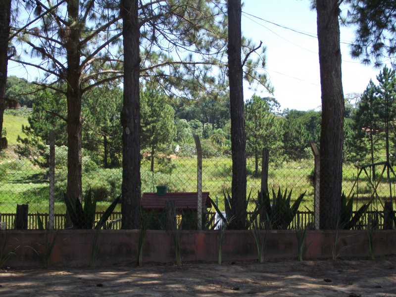 Terreno à venda Chácara Real (Caucaia do Alto) com 198m² e 1 quarto por R$ 140.000 - 319782131-9a.JPG