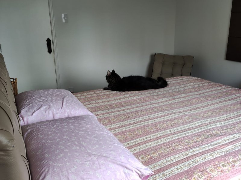 Apartamento à venda Ponta da Praia com 92m² e 2 quartos por R$ 410.000 - 1384338536-img-20220328-wa0088.jpg