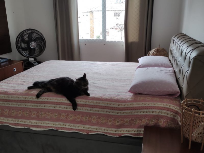 Apartamento à venda Ponta da Praia com 92m² e 2 quartos por R$ 410.000 - 241861486-img-20220328-wa0089.jpg
