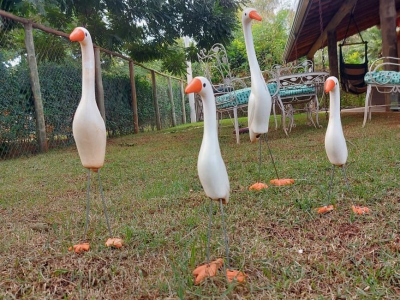 Chácara à venda Barão Geraldo com 1800m² e 3 quartos por R$ 695.000 - 1920673545-whatsapp-image-2021-09-21-at-19.jpeg