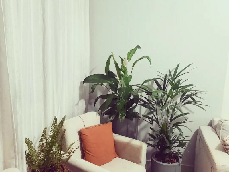 Casa à venda Centro com 200m² e 2 quartos por R$ 250.000 - 1873262770-whatsapp-image-2022-05-02-at-19.jpeg