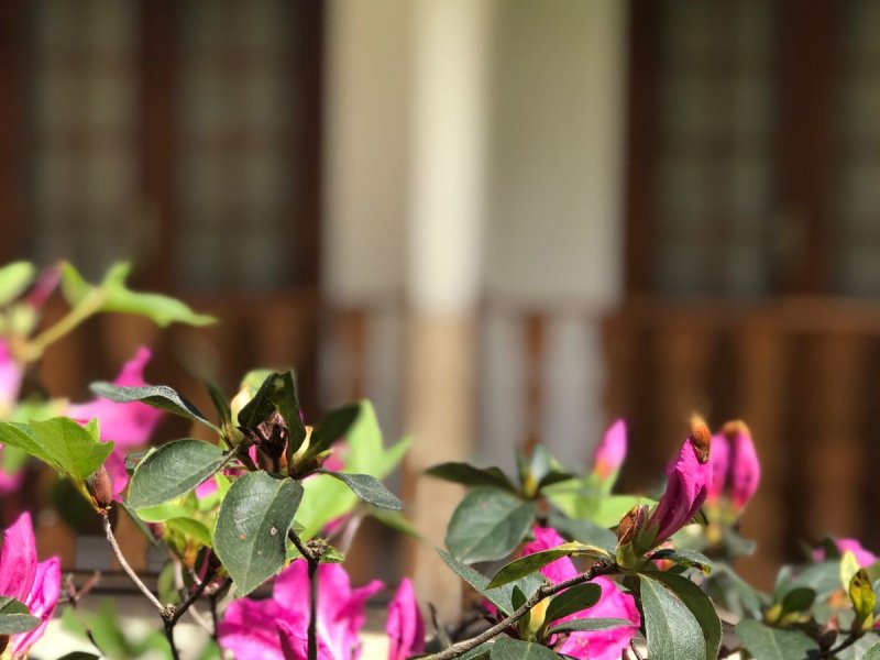 Comercial à venda Centro (Paraty) com 758m² e 1 quarto por R$ 2.800.000 - 1465017240-2413e7c0-70d7-4ace-80c1-8be8a225c52d.jpeg