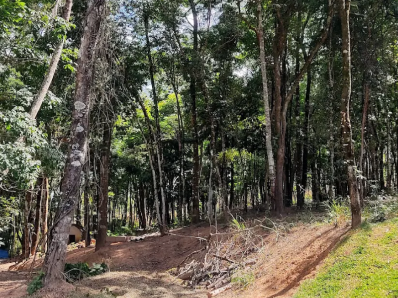 Terreno à venda Centro com 20000m² e 1 quarto por R$ 75.000 - 1794602041-screenshot-20220505-114639-912.png