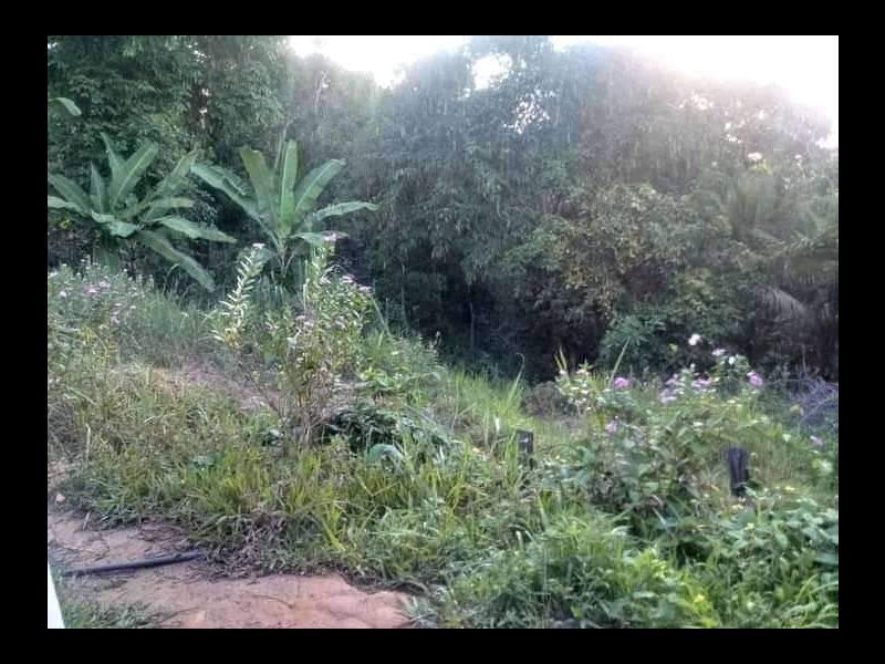 Casa à venda Centro com 850m² e 2 quartos por R$ 75.000 - 1549045417-269796840-4950451455013204-3313356107248308525-n.jpg