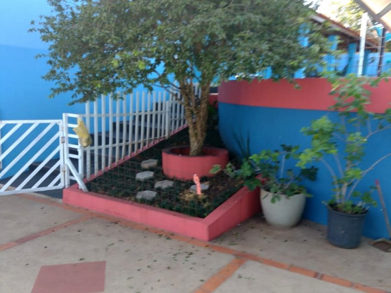 Casa à venda Jardim Civitas com 500m² e 5 quartos por R$ 2.500.000 - 1009676052-frutas-jabuticaba.jpeg