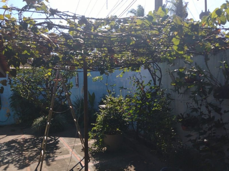 Casa à venda Jardim Civitas com 500m² e 5 quartos por R$ 2.500.000 - 312631757-frutas-uva.jpeg