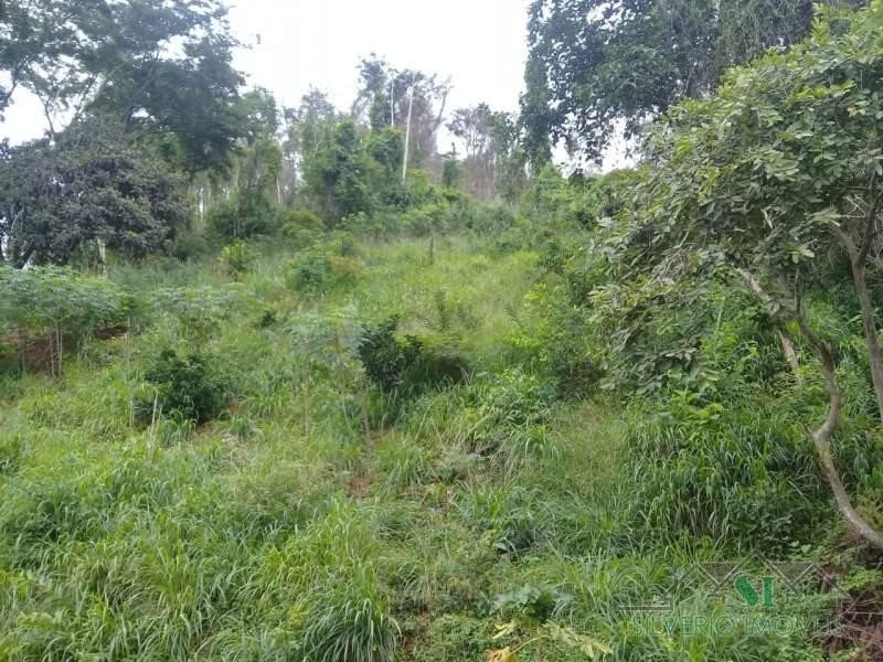 Chácara à venda Centro com 26118m² e 2 quartos por R$ 800.000 - 182085543-foto-imovel-id027183no0010-casa-contendas-sao-jose-do-vale-do-rio-preto-16206704341392.jpg