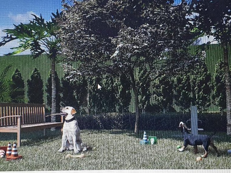 Apartamento à venda Butantã com 37m² e 1 quarto por R$ 550.000 - 1617722661-pet-place.jpg