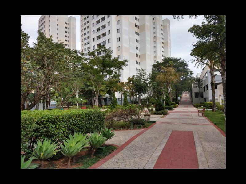 Apartamento à venda Chácara Nossa Senhora do Bom Conselho com 51m² e 2 quartos por R$ 275.000 - 351323485-34.png