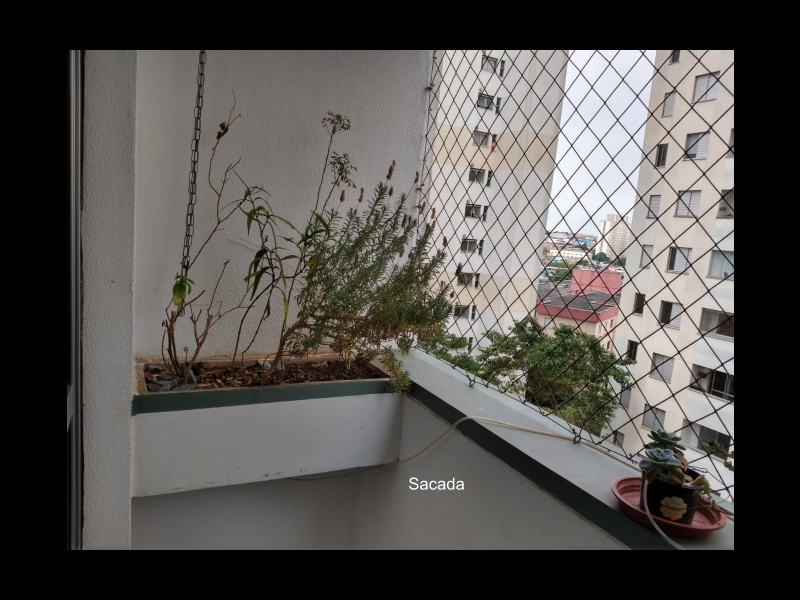 Apartamento à venda Chácara Nossa Senhora do Bom Conselho com 51m² e 2 quartos por R$ 275.000 - 448560962-09.png