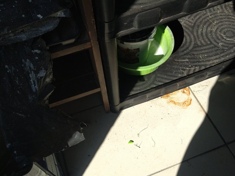 Casa à venda Beija Flor com 300m² e 3 quartos por R$ 450.000 - 136986809-img-20220416-151604093.jpg