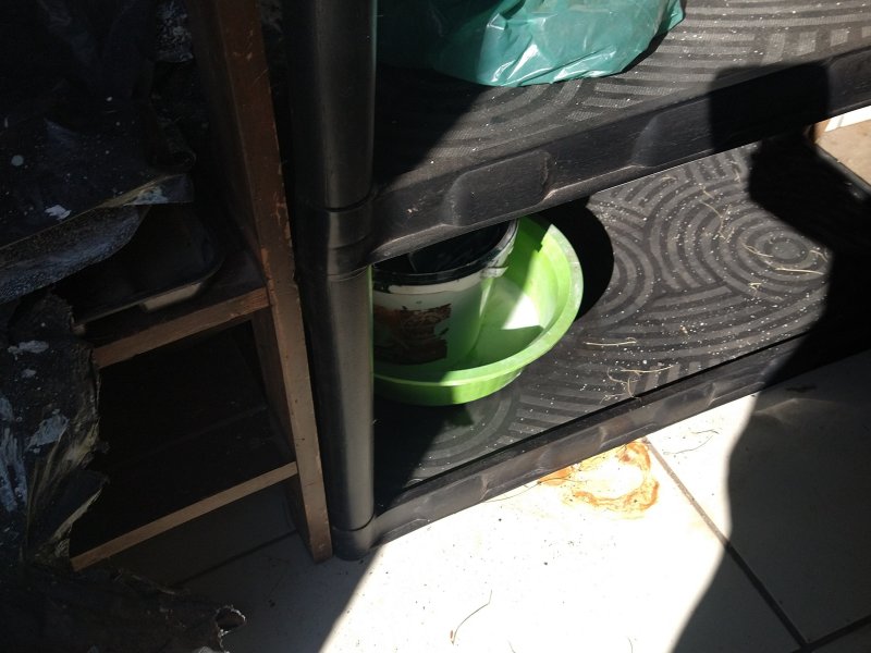 Casa à venda Beija Flor com 300m² e 3 quartos por R$ 450.000 - 1752007311-img-20220416-151605564.jpg