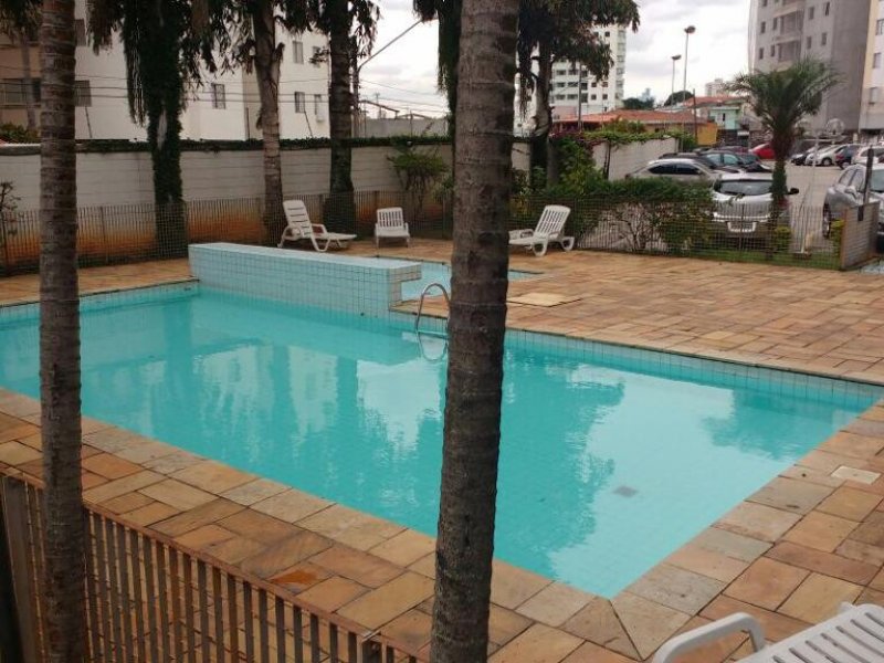 Apartamento à venda Vila Matilde com 67m² e 2 quartos por R$ 329.000 - 967156574-piscina.jpeg