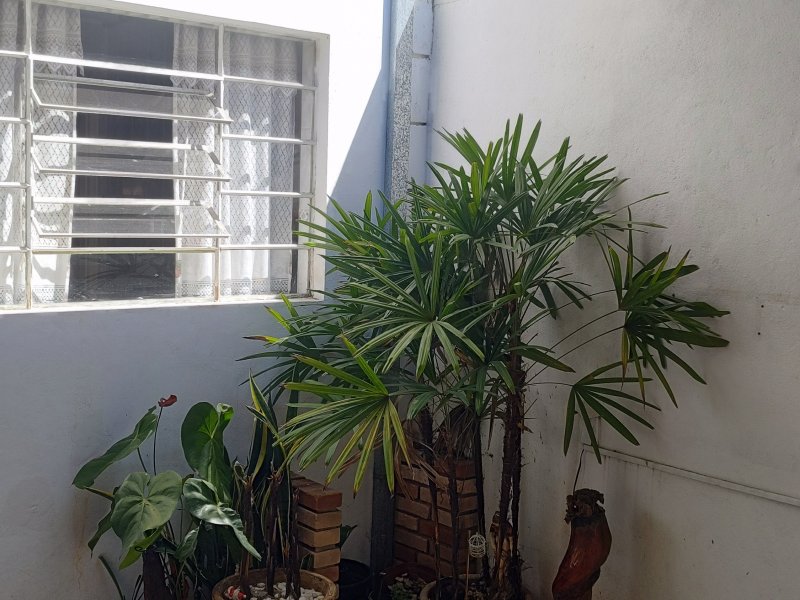 Casa de condomínio à venda Parque Residencial Califórnia com 64m² e 2 quartos por R$ 280.000 - 591313263-img-20220427-112947019-hdr.jpg