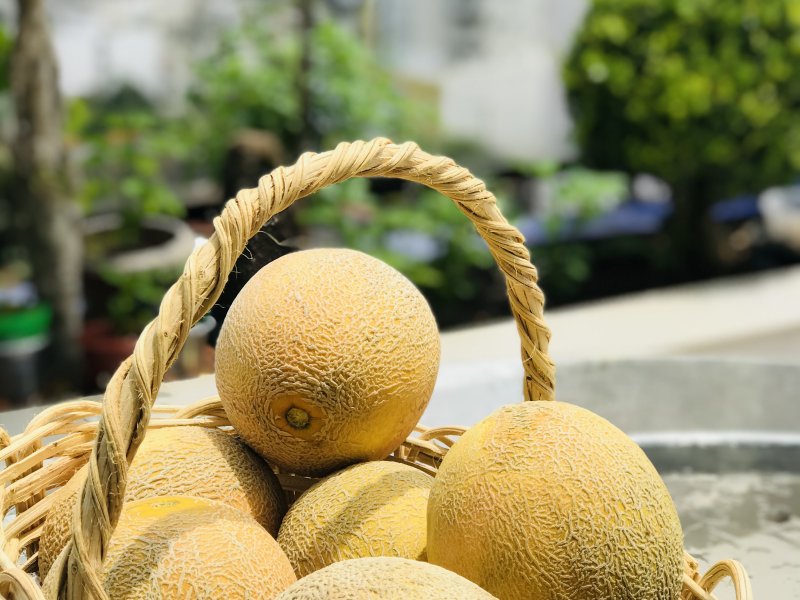 Cobertura à venda Centro com 298m² e 4 quartos por R$ 998.000 - 1150022051-8e842b26-00c1-4579-89b2-a42837d9a84e.jpeg