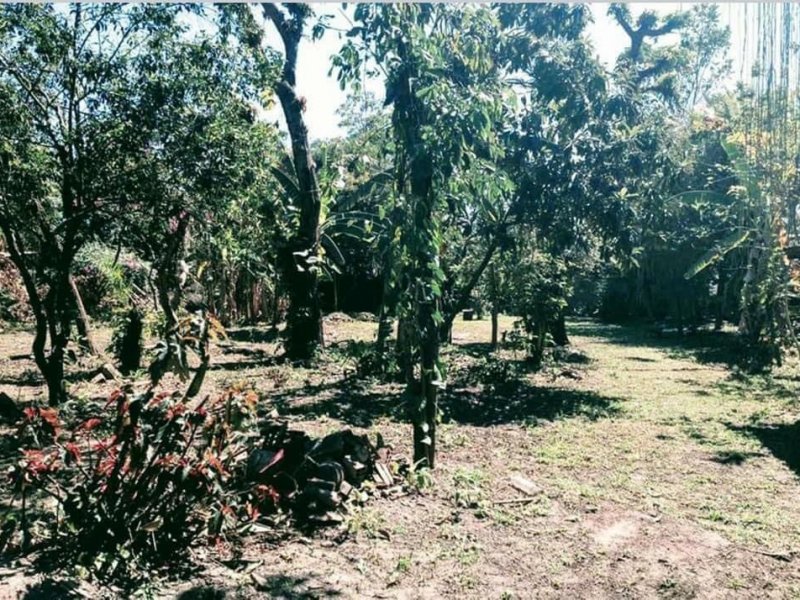 Sítio à venda Retiro São Joaquim com 2400m² e 3 quartos por R$ 300.000 - 1200851588-c8246e3b-fae0-40f2-ba69-49b8a6448e72.jpeg