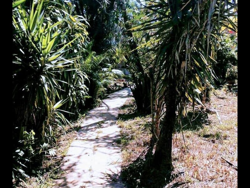 Sítio à venda Retiro São Joaquim com 2400m² e 3 quartos por R$ 300.000 - 1347855840-ce47904d-a9fb-43fd-91a9-7e4a97d9b501.jpeg