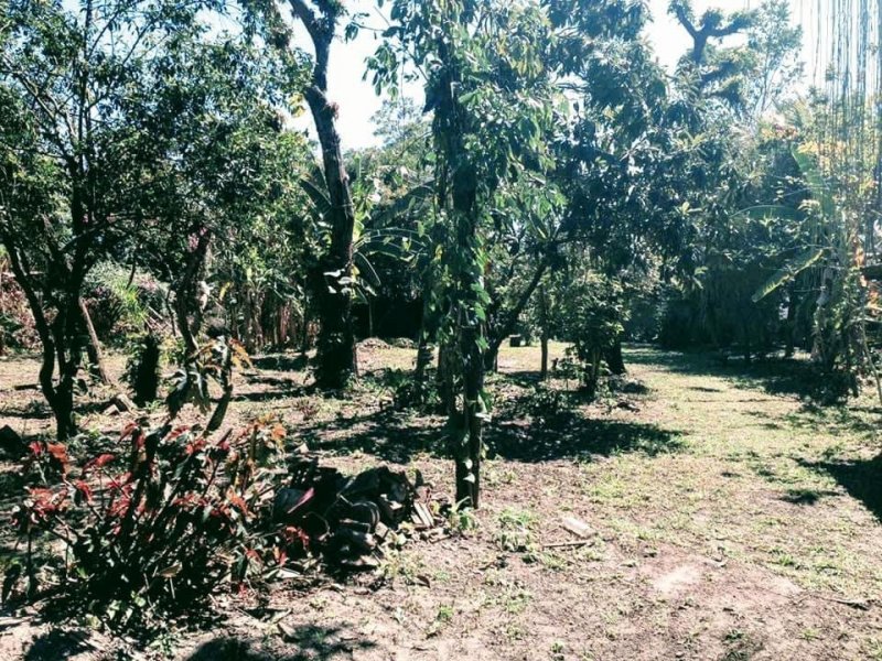 Sítio à venda Retiro São Joaquim com 2400m² e 3 quartos por R$ 300.000 - 1627781681-040376da-95ba-4673-9084-4e38e7500489.jpeg