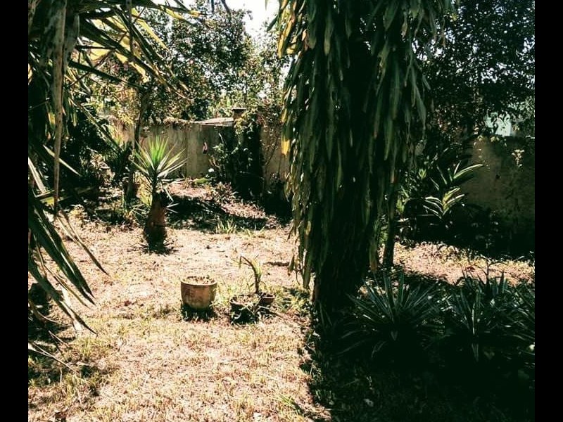 Sítio à venda Retiro São Joaquim com 2400m² e 3 quartos por R$ 300.000 - 1667466843-2b4a2f71-0b23-4408-a197-2a34dccccefb.jpeg