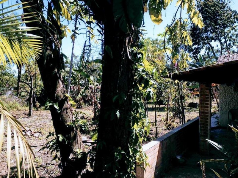 Sítio à venda Retiro São Joaquim com 2400m² e 3 quartos por R$ 300.000 - 1784557143-240870b7-56f7-4ada-bff6-cc3ca4361623.jpeg