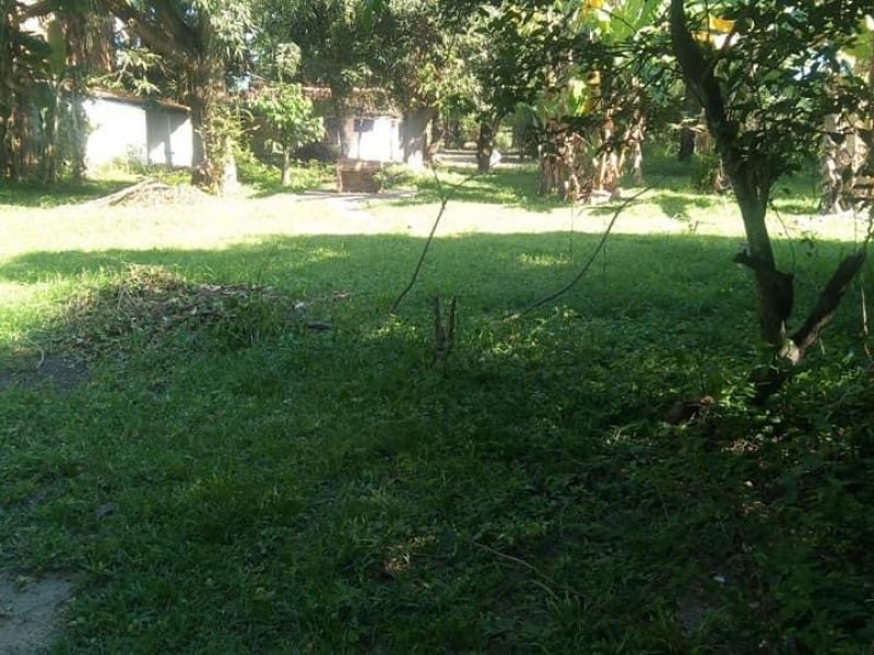 Sítio à venda Retiro São Joaquim com 2400m² e 3 quartos por R$ 300.000 - 2059478093-1f1c7a53-8509-47ba-bc1e-b23804b5c88a.jpeg