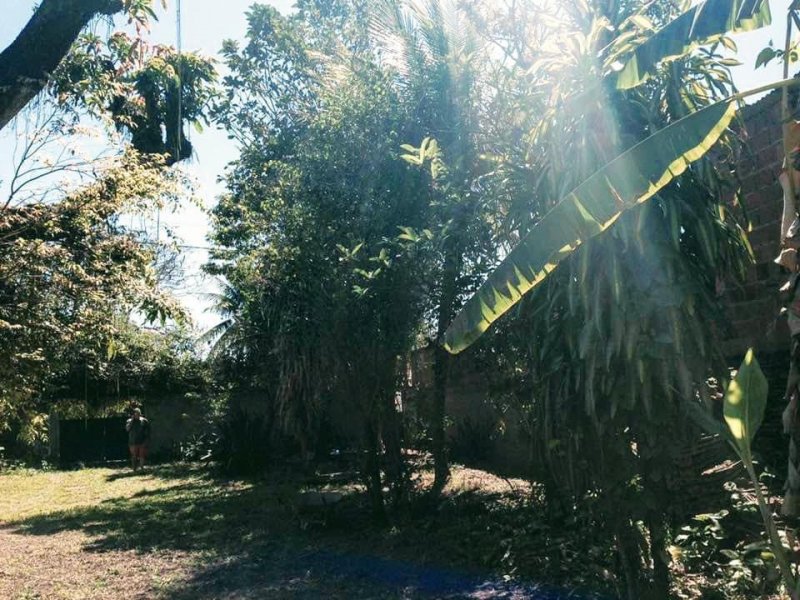 Sítio à venda Retiro São Joaquim com 2400m² e 3 quartos por R$ 300.000 - 400048858-d7098cf5-60d4-4918-8f7d-6dcada798ab7.jpeg
