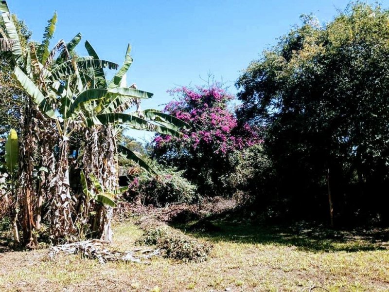 Sítio à venda Retiro São Joaquim com 2400m² e 3 quartos por R$ 300.000 - 530168924-70098df3-9862-4438-b0fd-7cdc950e0463.jpeg