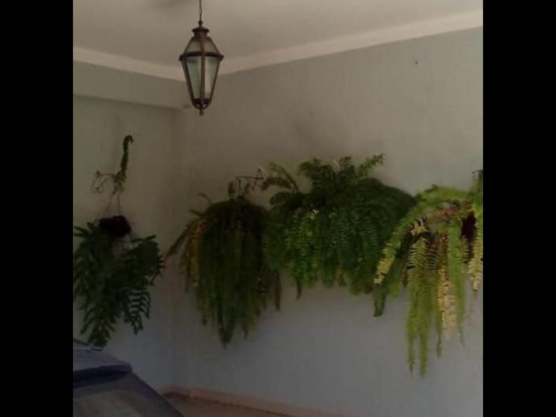 Casa à venda Vila Popular com 250m² e 4 quartos por R$ 540.000 - 1627115113-0fae512d-9da4-479a-beda-26710d2a404c.jpeg