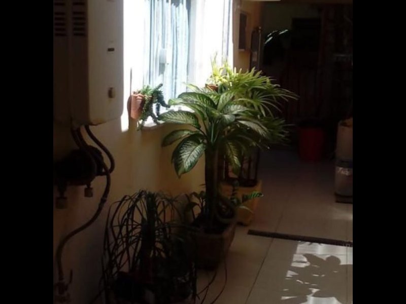 Casa à venda Vila Popular com 250m² e 4 quartos por R$ 540.000 - 2058511031-8cb619f9-c670-4b31-ac46-f50b4716ad83.jpeg