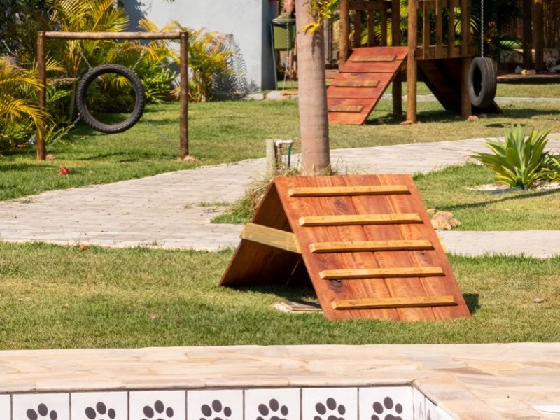 Chácara à venda Centro com 1380m² e 8 quartos por R$ 4.060.000 - 748696085-piscina-e-playground-pet.jpeg