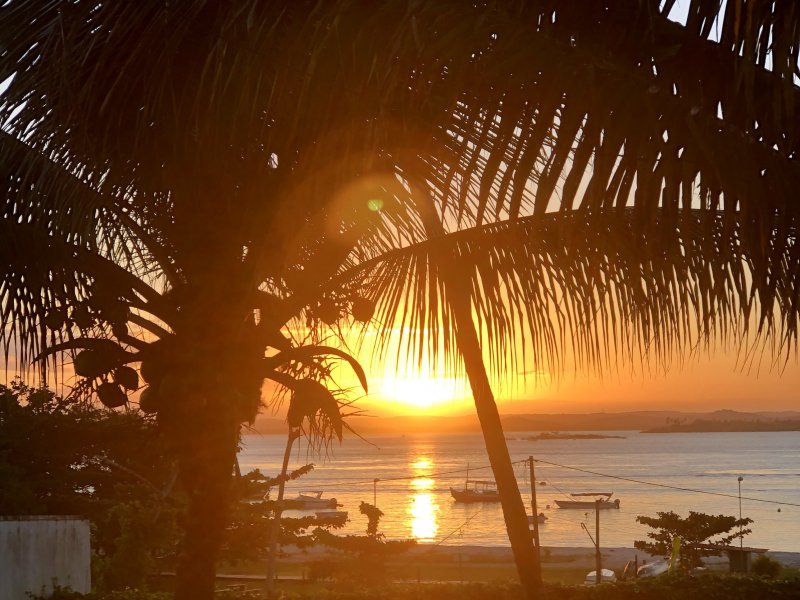 Comercial para alugar Centro com 536m² e 1 quarto por R$ 3.300 - 1884564392-img-8253.jpg