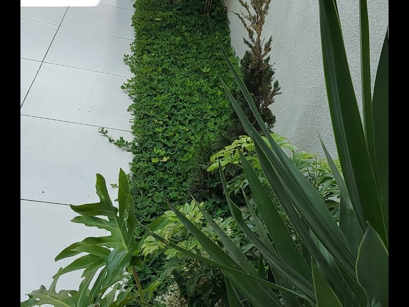 Casa à venda Cidade São Jorge com 170m² e 3 quartos por R$ 850.000 - 1302284853-whatsapp-image-2021-11-23-at-13.jpeg