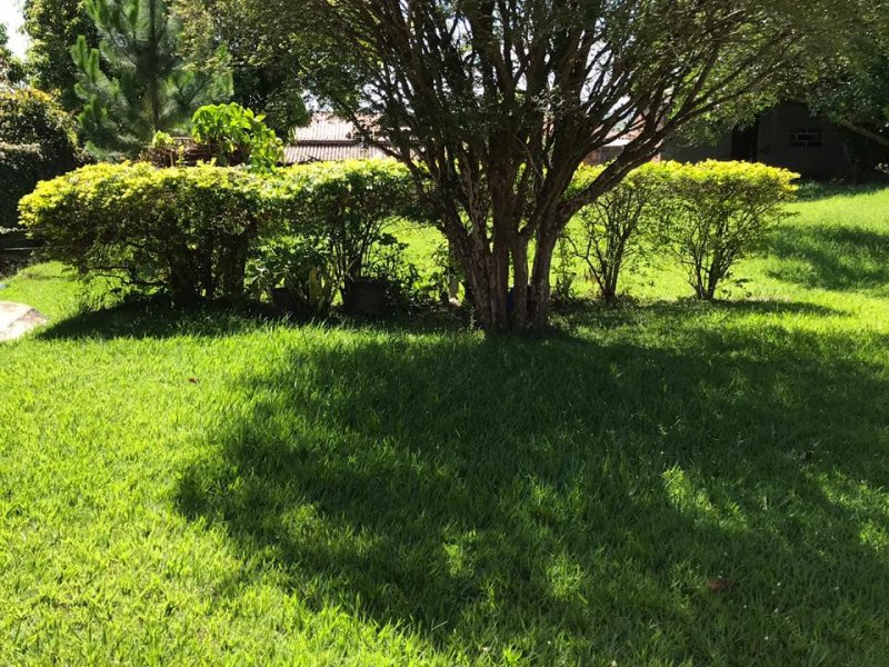 Chácara à venda Jardim Bela Vista com 100m² e 3 quartos por R$ 420.000 - 295448415-whatsapp-image-2019-01-08-at-10.jpeg