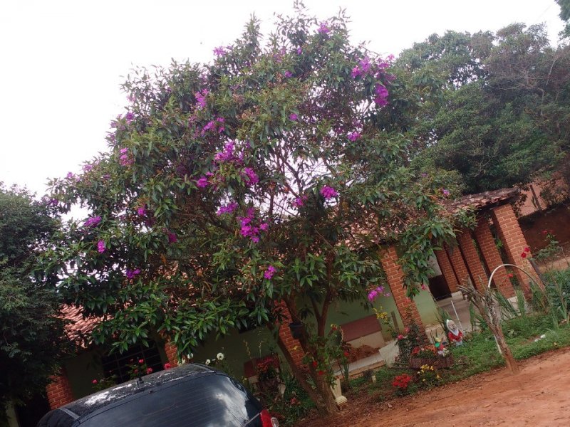 Chácara à venda Corrupira com 5750m² e 3 quartos por R$ 900.000 - 1296319771-img-20220508-wa0020.jpg