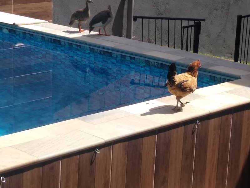 Casa de condomínio à venda Guaripocaba dos Souzas com 136m² e 3 quartos por R$ 650.000 - 58541345-img-20220301-101803757.jpg