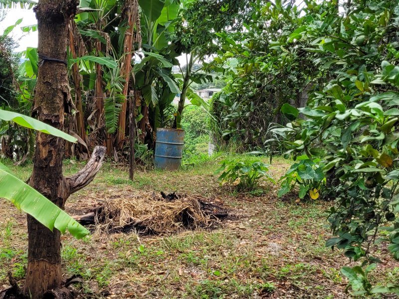 Casa à venda Dom Cabral com 110m² e 3 quartos por R$ 800.000 - 1901868734-20220129-093210.jpg