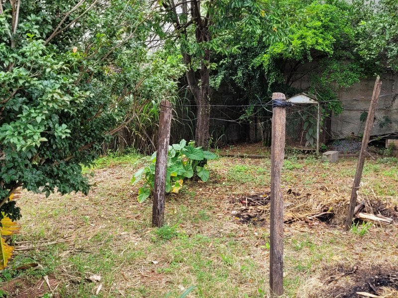 Casa à venda Dom Cabral com 110m² e 3 quartos por R$ 800.000 - 506807774-20220129-093240.jpg