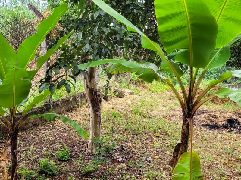 Casa à venda Dom Cabral com 110m² e 3 quartos por R$ 800.000 - 671882140-20220129-093207.jpg