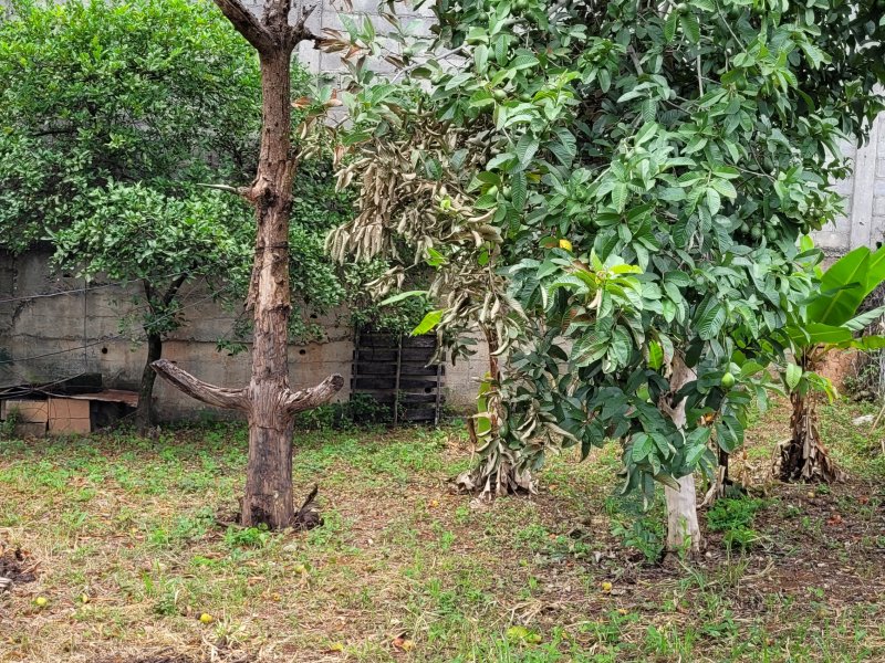 Casa à venda Dom Cabral com 110m² e 3 quartos por R$ 800.000 - 92942336-20220129-093245.jpg