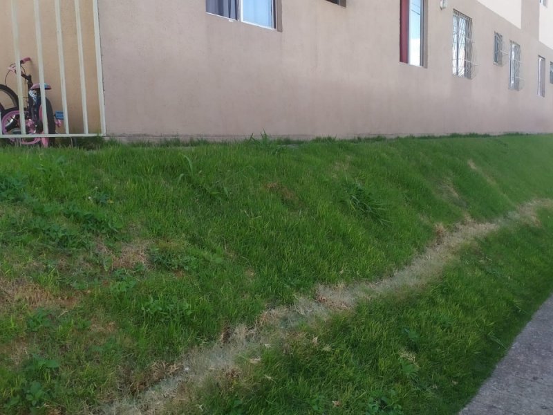 Apartamento à venda Bonsucesso  com 52m² e 2 quartos por R$ 155.000 - 1736196288-img-20220513-wa0185.jpg