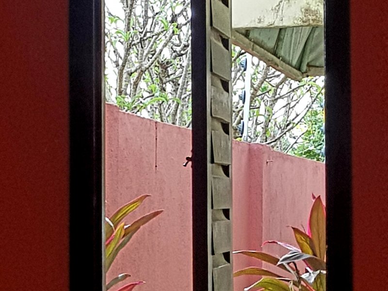 Casa à venda Nova Parnamirim com 160m² e 3 quartos por R$ 280.000 - 187945623-20220501-070532.jpg