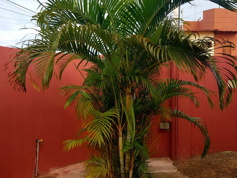 Casa à venda Nova Parnamirim com 160m² e 3 quartos por R$ 280.000 - 2015785871-20220501-070823.jpg