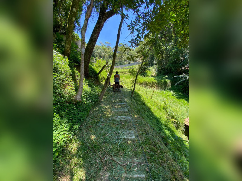 imóvel com 6600m² - Independência - Petrópolis
