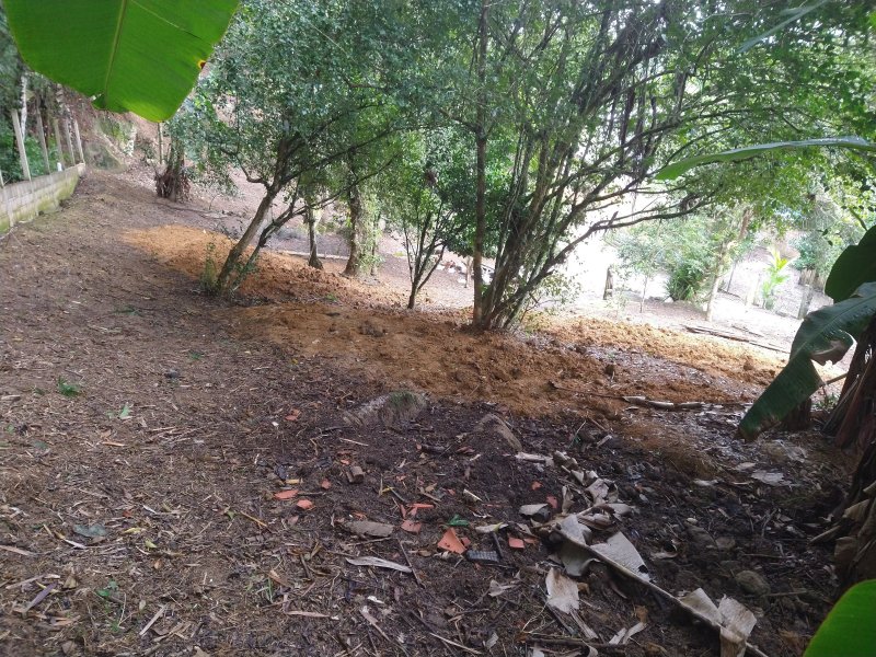 Chácara à venda Centro com 2400m² e 2 quartos por R$ 460.000 - 1226981167-img-20220422-110102773.jpg