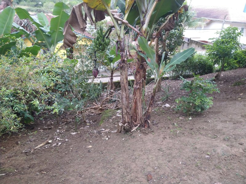 Chácara à venda Centro com 2400m² e 2 quartos por R$ 460.000 - 1479185538-img-20220422-111035510.jpg